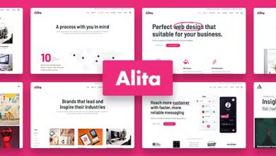 Alita..Nulled&#;WebStudioWordPressTheme