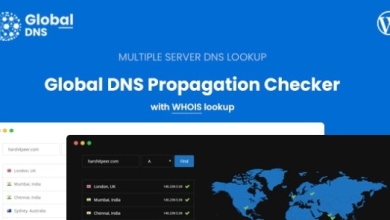 GlobalDNSv..Nulled–MultipleServer–DNSPropagationChecker–WPPlugin