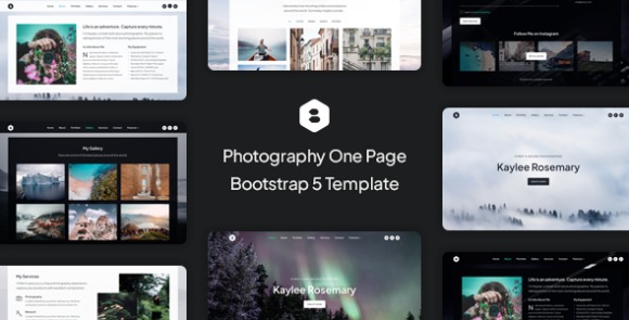 Locus Photography One Page Bootstrap Template Download