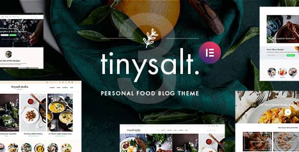 TinySaltv..Nulled&#;PersonalFoodBlogWordPressTheme