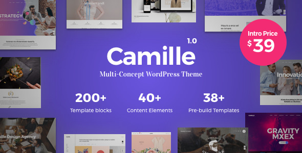 Camillev..Nulled&#;Multi ConceptWordPressTheme
