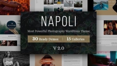 Napoliv..Nulled&#;PhotographyWordPress