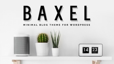 Baxelv..Nulled&#;MinimalBlogThemeforWordPress