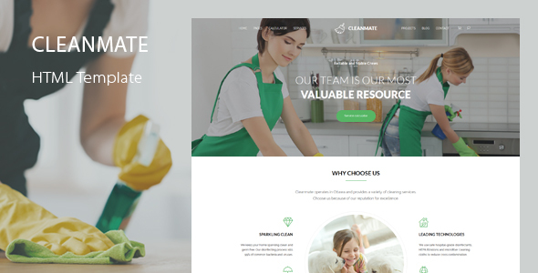 CleanMatev.Nulled&#;CleaningTemplate