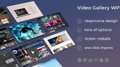 Video Gallery Wordpress Plugin /w YouTube, Vimeo, Facebook pages v12.25 Free
