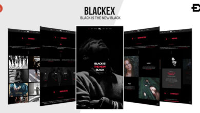 Blackex v1.2 Nulled – Photography Portfolio Template