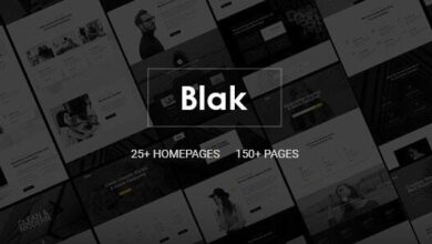 Blak Nulled – Responsive MultiPurpose HTML5 Website Template