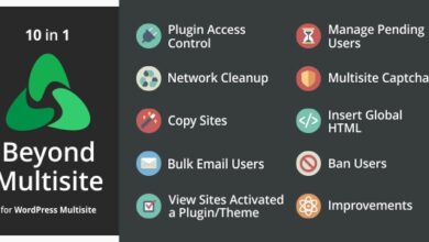 Beyond Multisite v1.15.0 Nulled – Utilities for WordPress Network Admins