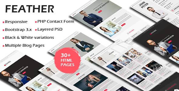 FEATHER Nulled – Multipurpose Responsive Personal Portfolio, Resume One Page HTML Template