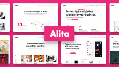Alita 1.0.7 Nulled – Web Studio WordPress Theme