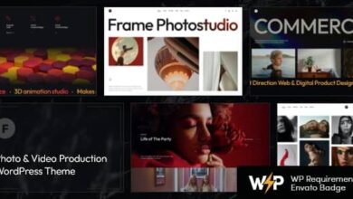 Frame v1.0 Nulled – Photo & Video Production WordPress Theme