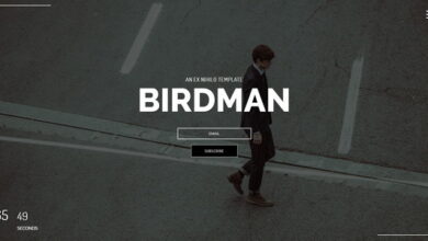 Birdman Nulled – Responsive Coming Soon Page
