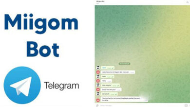 Miigom Bot v1.0 Nulled - Telegram Bot PHP