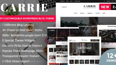 Carrie v2.2 Nulled – Personal & Magazine WordPress Theme