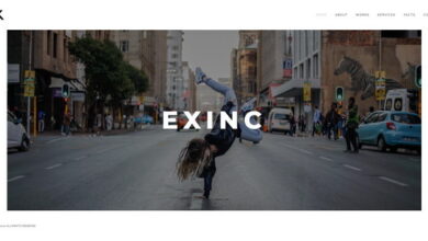 Exinc Nulled – Creative Personal Portfolio Template