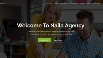Naila v1.0 Nulled - One Page MultiPurpose WordPress Theme