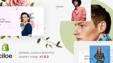 Ciloe v1.0.3 Nulled - Minimal, Clean & Beautiful Shopify Theme