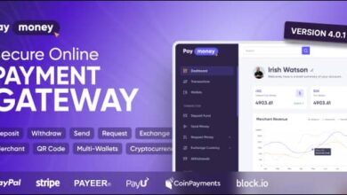 PayMoney v4.0.1 Nulled - Secure Online Payment Gateway