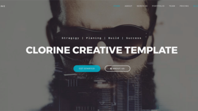 Clorine Nulled - Responsive Business Creative Portfolio Template
