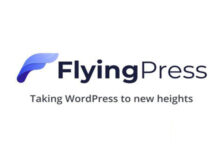 FlyingPress v4.6.5 Nulled - Taking WordPress To New Heights