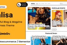Kalisa v1.5 Nulled - Blog & Magazine WordPress Theme