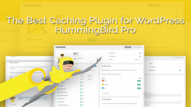 Hummingbird Pro v3.6.0 Nulled - WordPress Plugin