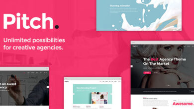 Pitch v3.8 Nulled - A Theme for Freelancers and Agencies