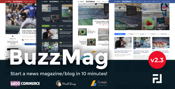 BuzzMag v2.3 Nulled - Viral News WordPress Magazine/Blog Theme