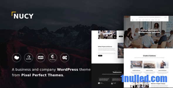 Nucy v1.2.5 Nulled - Business & Company WordPress Theme