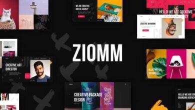Ziomm v1.0.3 Nulled - Creative Agency & Portfolio WordPress Theme