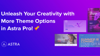 Astra Pro Addon v4.6.0 – Perfect Theme For Any Website Free