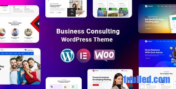 Consua v1.0 Nulled - Business Consulting WordPress