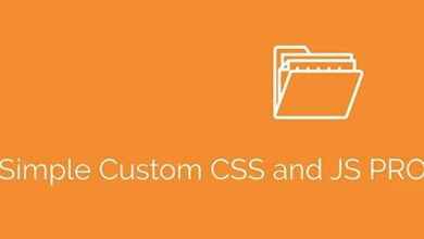 Simple Custom CSS and JS PRO v4.36 Free