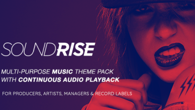 SoundRise v1.6 Nulled - Artists, Producers and Record Labels Theme