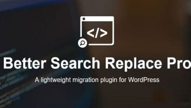 Better Search Replace Pro v1.4.6 Free
