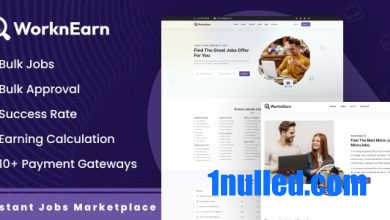 WorknEarn v1.0 Nulled - Instant Jobs Marketplace