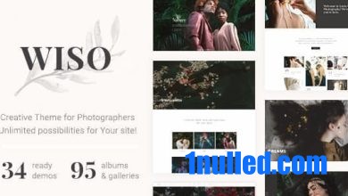 WISO v1.0.2 Nulled - Photography HTML Template