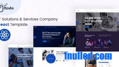 Itodo Nulled - IT Solutions & Services Company React Template